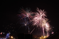 LBV MÃ¼nchen warnt vor Silvestergefahren fÃ¼r Wildtiere